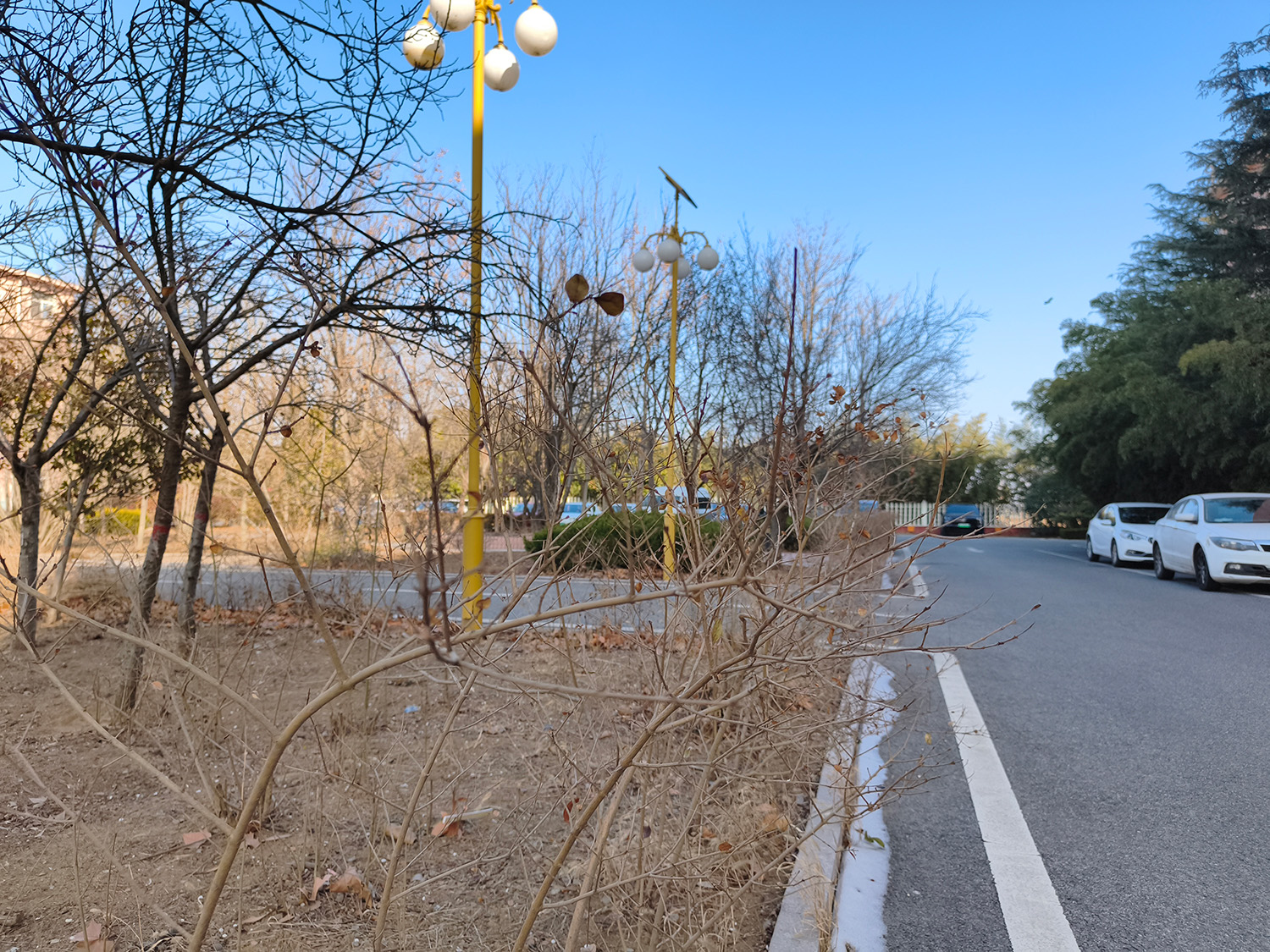 也总会离去，寻不见